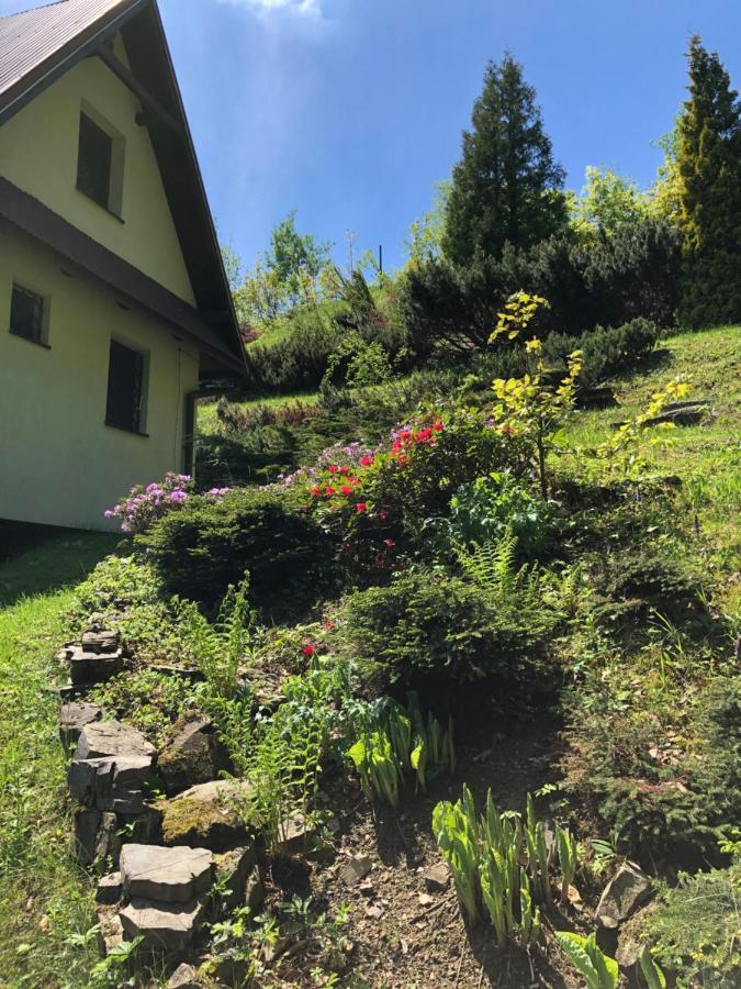 Mountain Cottage Lubomierz Lubomierz  Extérieur photo